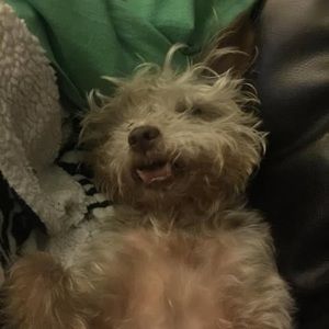 Meet your Posher, Derrick